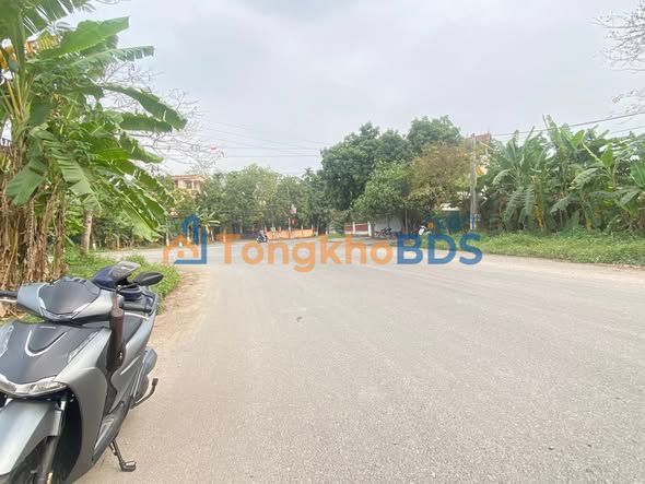 Đất nền Đường 6 Lập Thạch 100m² 2 tỷ - Sổ đỏ chính chủ