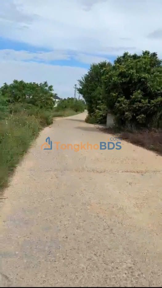 Đất nền góc 200m² sổ đỏ thổ cư - Mặt tiền kinh doanh 20m tại Phong Châu, Phú Thọ