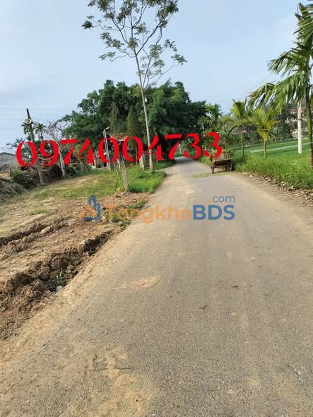 Đất nền Thái Hòa Vĩnh Phúc 1000m² giá thỏa thuận - Sổ đỏ chính chủ