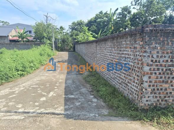 Đất nền Lam Sơn Tam Nông 134m² 600-699 triệu - Sổ đỏ chính chủ