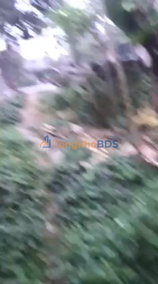 Đất nền Hạ Hòa QL2D 118m² giá 1,3 tỷ - Đất thổ cư 100%