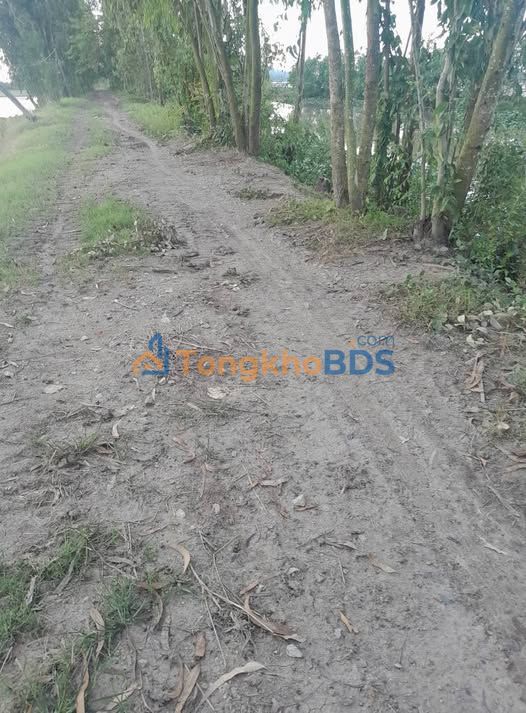 Bán Gấp 30.000m² Đất Lúa Thoại Sơn, An Giang - Giá Tốt Đầu Tư