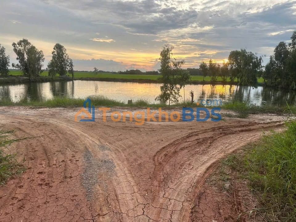 Đất nuôi trồng Tân Hộ Cơ 3.756m² - Sổ hồng chính chủ