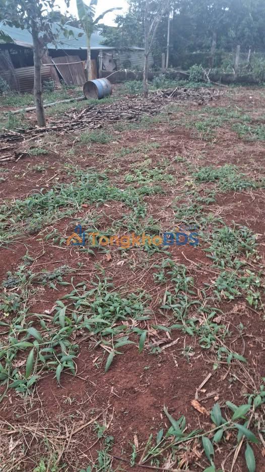 Đất thổ cư Buôn Ma Thuột Thành Công 200m² 9xxtr - Sổ đỏ