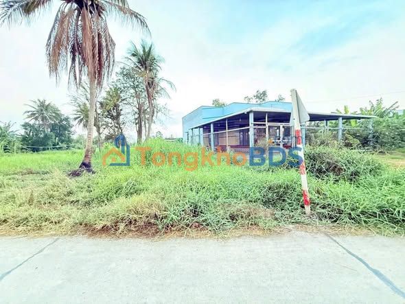 Đất nền Nhựt Chánh Bến Lức 300m² 1.3 tỷ Sổ đỏ