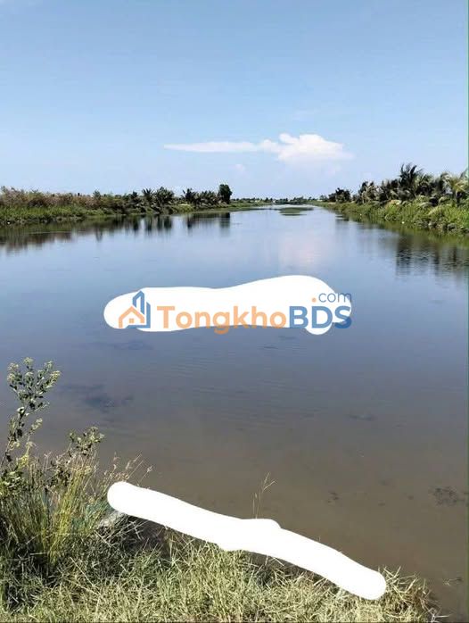 Đất nền Vân Khánh Đông An Minh 20.000m² giá 2.4 tỷ - Sổ đỏ chính chủ