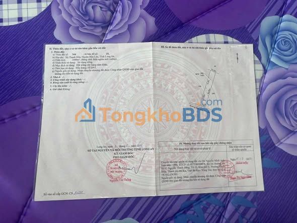 Bán Gấp Đất 1000m² Xã Thạnh Hòa, Bến Lức - Giá Đầu Tư 1.2 Tỷ