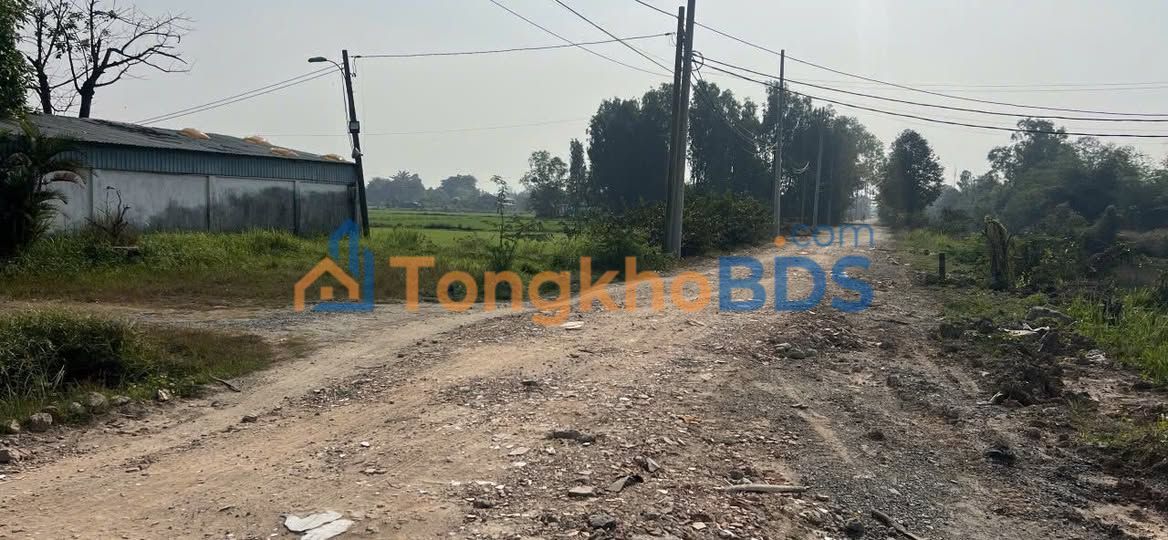 Đất nền Xuân Thới Sơn 10.000m² 60 tỷ - Sổ đỏ chính chủ