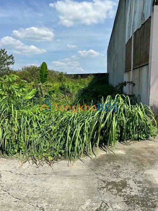 Đất nền Mỹ Lộc Long An 102m² 880 triệu - Sổ đỏ chính chủ