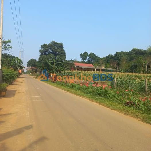 Đất Lê Hữu Trác Sơn Trà 162m² giá 6xx triệu - Sổ hồng sẵn