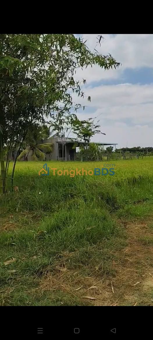 Đất vườn Hàm Chính 1042m² 130 triệu - Tiềm năng tăng giá