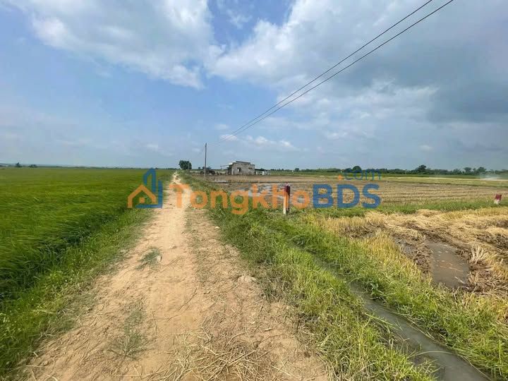 Đất nền Hàm Đức Bình Thuận 360m² 0.25 tỷ - Sổ đỏ chính chủ