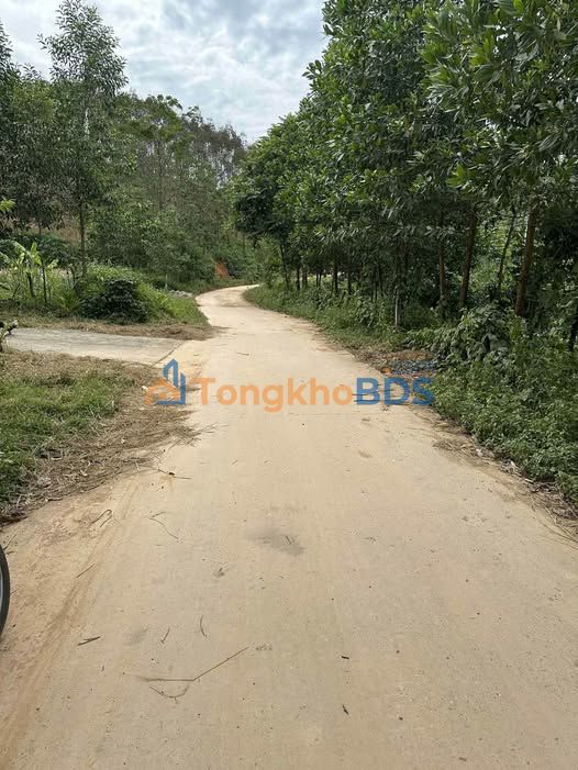 Đất nền Đồng Tiến Yên Thế 350m² 300 triệu - Giá tốt hiếm có