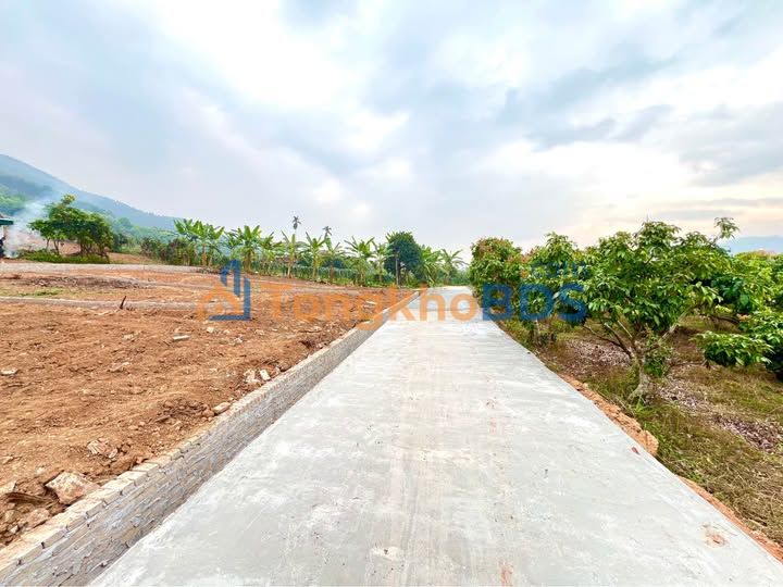 Đất Bình Sơn Lục Nam 800m² 600 triệu - Đường thông