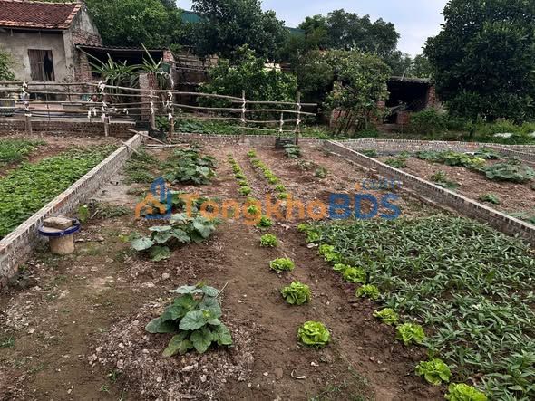 Đất nền An Bình Thuận Thành 50m² từ 1 tỷ - Pháp lý rõ ràng