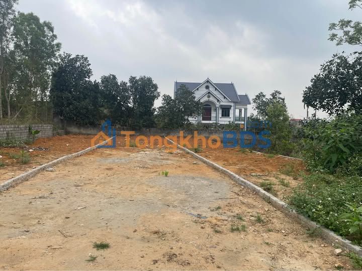 Đất Lan Mẫu 141m² giá thỏa thuận - Sổ đỏ chính chủ