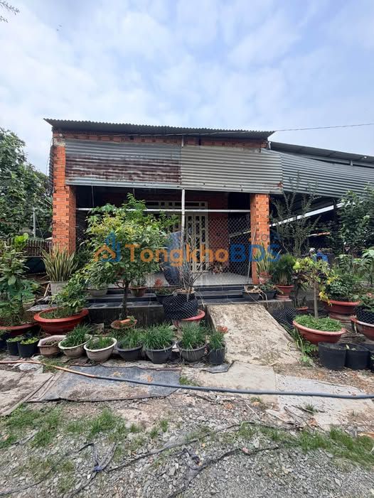 Nhà cấp 4 Bàu Đồn Gò Dầu 286m² 1 tỷ - Chính chủ bán