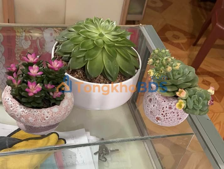 Đất Mặt Tiền Tỉnh Lộ 2, Krông Pắc - 400m² Giá 4.1 Tỷ, Sổ Đỏ Sẵn Sàng