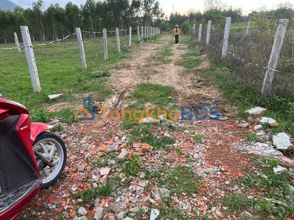 Đất nền Tân Hà, Hàm Tân 1.388m² giá 490 triệu - Sổ đỏ chính chủ