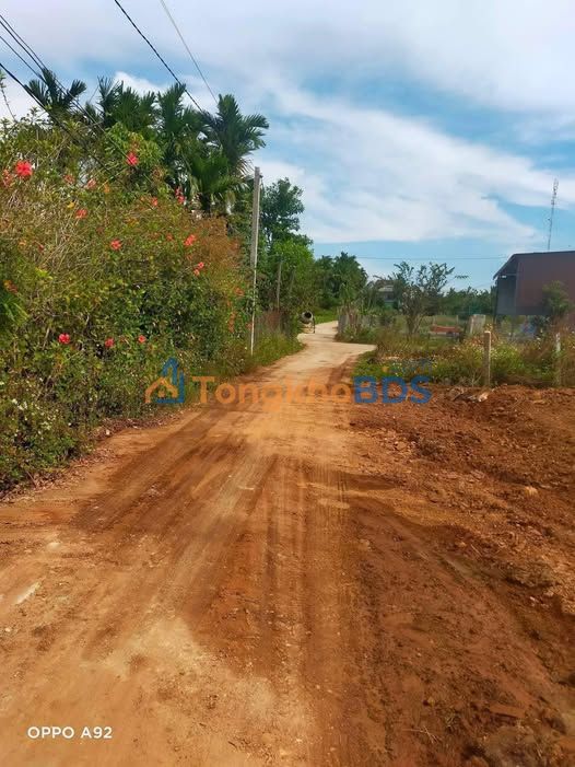 Bán Gấp 2 Lô Đất Vàng 1000m² Krông Bông, Đắk Lắk - Sổ Đỏ Sẵn Sàng