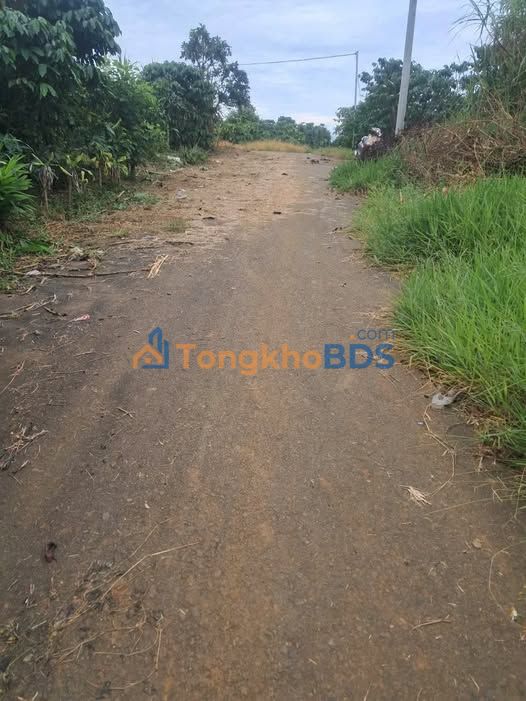 Bán đất cafe 360m² Thôn 1 Lộc An - 950 triệu - Chính chủ