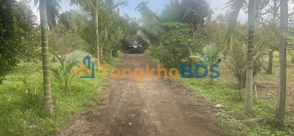 Đất vườn Ea KPam 14.000m² giá 6.5 tỷ - Đường to ô tô