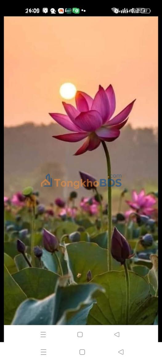 Nhà hẻm 828 Bình Giã Q11 39m² 1,25 tỷ - Giá tốt hiếm có