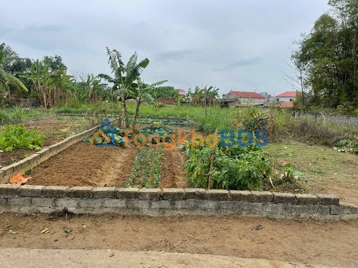 Đất nền Thôn Chớp Hiệp Hòa 104m² 700 triệu - Đường to ô tô