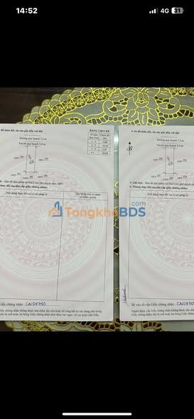 Đất nền Định Hải Nghi Sơn 240m² 1 tỷ - Sổ hồng chính chủ