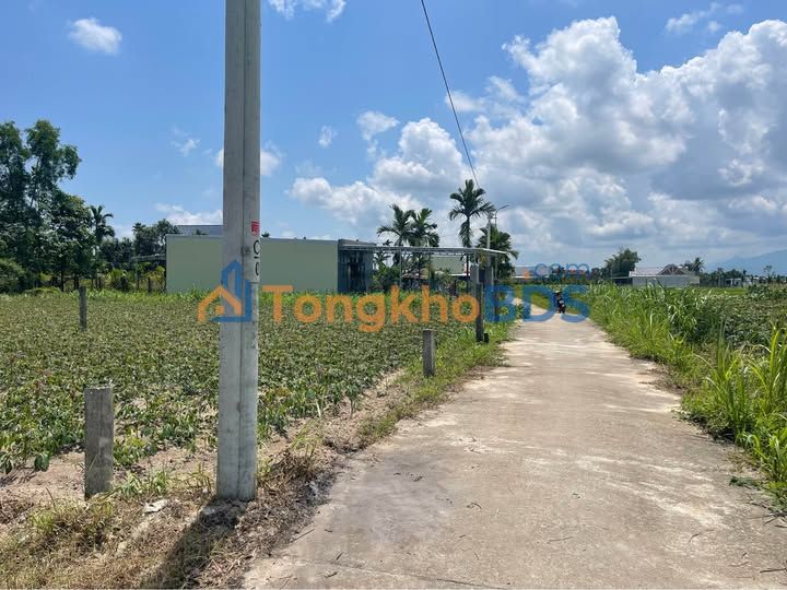 Đất nền Trương Quang Trọng 185m² 400-499 triệu - Hạ tầng hoàn thiện