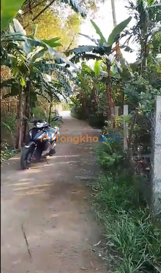 Đất vườn Thôn Hàm Long Quảng Ngãi 200m² 1 tỷ - Đường ô tô vào