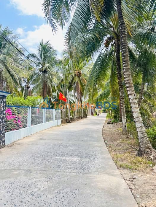 Đất nền Long Tuyền Cần Thơ 116m² 990 triệu - Sổ đỏ chính chủ