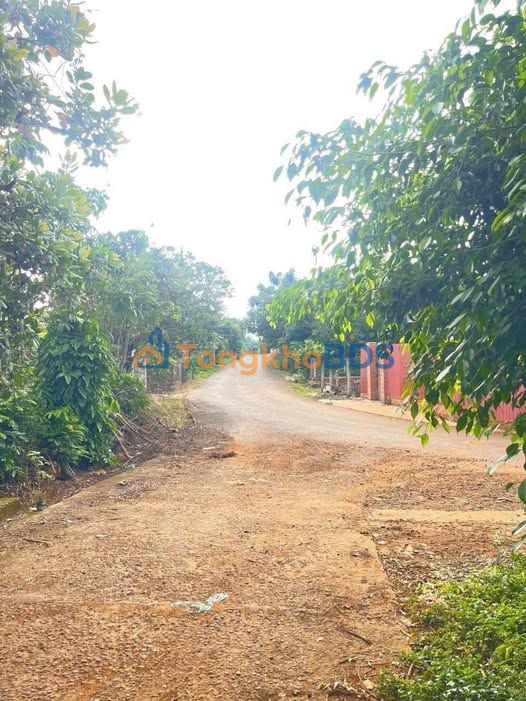 Đất nền Ea Tam Buôn Ma Thuột 230m² 825 triệu - Sổ đỏ chính chủ