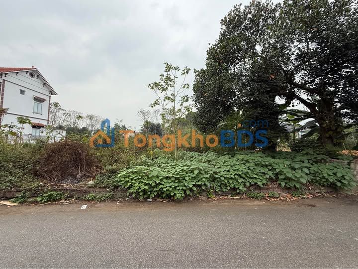 Đất nền Tam Đảo Thôn Quẵng 102m² 800tr - Tiềm năng tăng giá