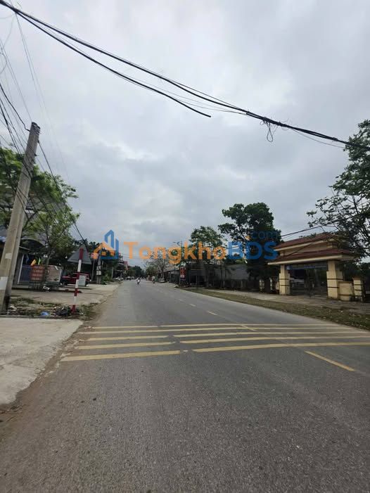 Đất phân lô Tam Đảo 100m² 1.5 tỷ - Sổ đỏ chính chủ