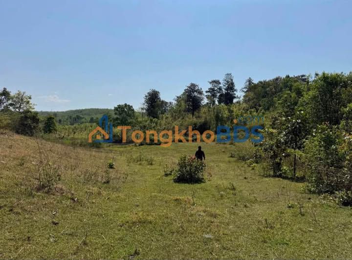 Đất rẫy Đắk Rơ Wa Kon Tum 4.5 sào - Đầu tư dài hạn