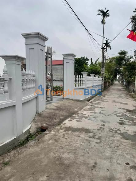 Đất nền Xuân Trì Tân Quang 100m² 7xx triệu - Đường ôtô