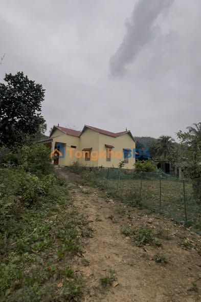 Đất nền Cẩm Thủy 900m² 800 triệu - Xây dựng tự do