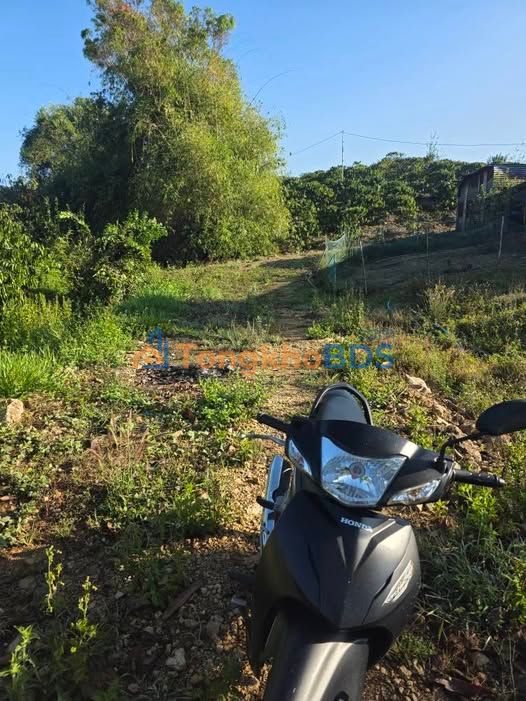 Đất nền Đức Trọng 1700m² giá 1.45 tỷ - Đường to ô tô