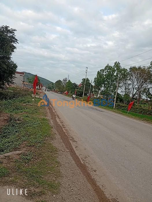 Bán Đất Chính Chủ Đường Cầu Hoành, Yên Định - 125m² Sẵn Sổ