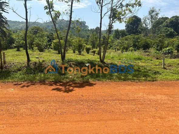 Đất nền Lộc Tân Bảo Lâm 114m² giá 131 triệu - Sổ đỏ chính chủ