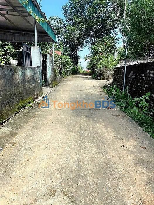 Nhà Cấp 4 Yên Phú, Tuyên Quang 162m² - Chính Chủ, Giá 1.3 Tỷ