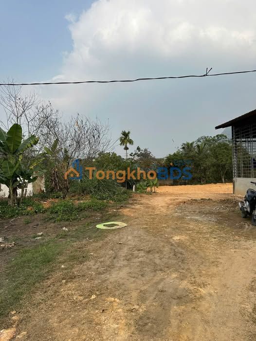 Đất nền Tràng Đà, Tuyên Quang 192m² - 790 triệu, tặng vàng đón Tết!