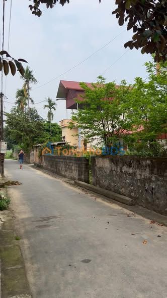 Đất nền Quán Lào 138m² 590 triệu - Xây dựng tự do