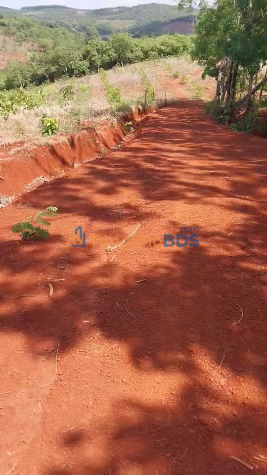 Đất vườn Bù Gia Mập 20.360m² 1,55 tỷ - Sinh thái xanh