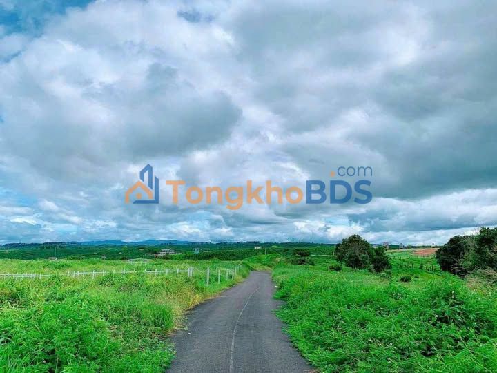 Đất Nền Lộc Ngãi, Bảo Lâm 290m² - Sổ Thổ Cư, View Thoáng, Giá Tốt