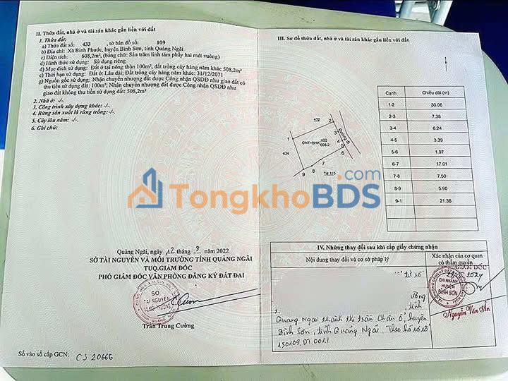 Đất nền Bình Sơn 600m² thỏa thuận - Đường to ô tô