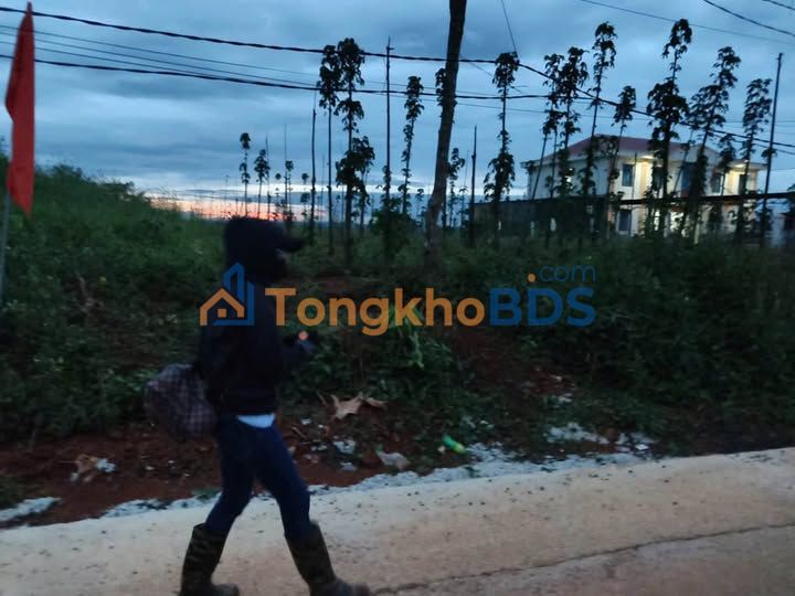 Đất Nền Quảng Ngãi, Đạ Huoai - 10100m² Giá 500 Triệu - Sổ Đỏ Rõ Ràng