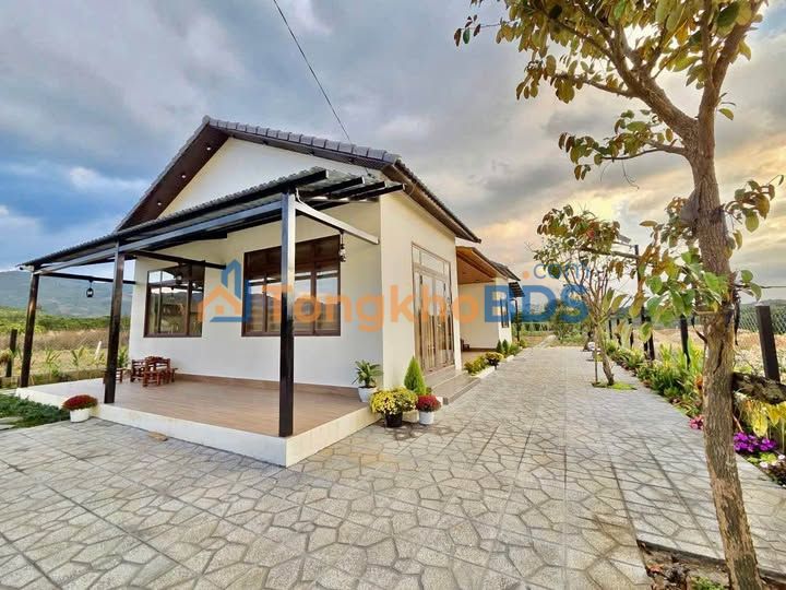 Đất Nền 1015m² Phường 3 Bảo Lộc - Sổ Hồng Sẵn Sàng