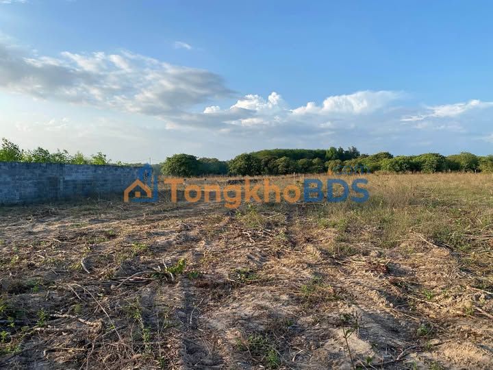 Đất Phước Tân Xuyên Mộc 10.000m² 7 tỷ - Sổ đỏ chính chủ